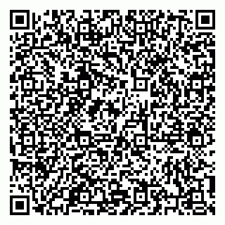 vCard 79206100287