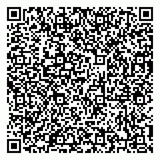 vCard 79206100331