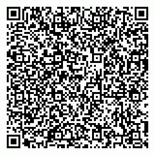 vCard 79206100333