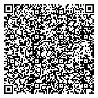 vCard 79206100334
