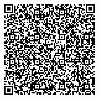 vCard 79206100335