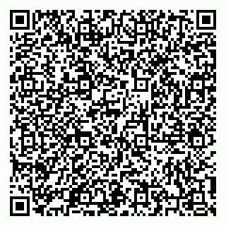 vCard 79206100380