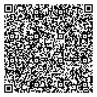 vCard 79206100387