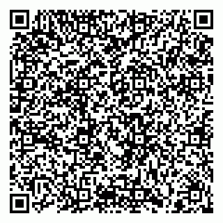 vCard 79206100393