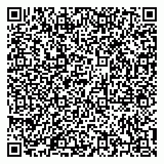 vCard 79206100394
