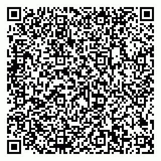 vCard 79206200029