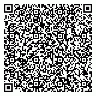 vCard 79206200137