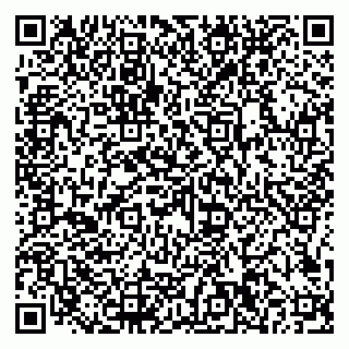 vCard 79206200333