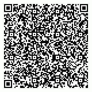 vCard 79206300029