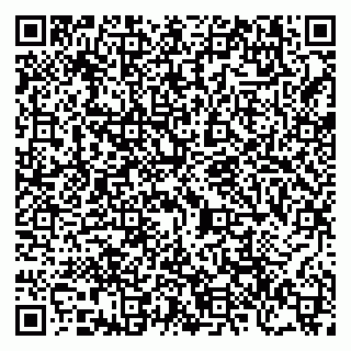 vCard 79206300031
