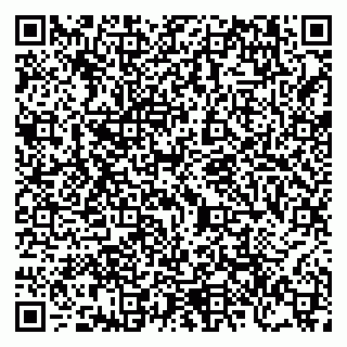 vCard 79206300032