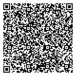 vCard 79206300037