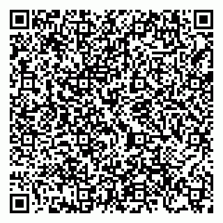 vCard 79206300039