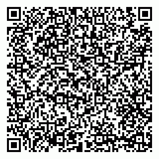 vCard 79206300132