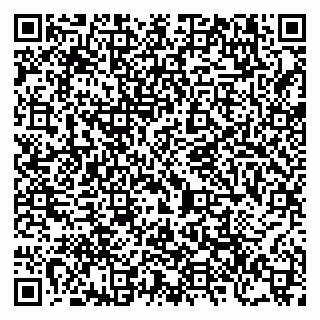 vCard 79206300133