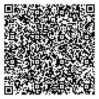 vCard 79206300204