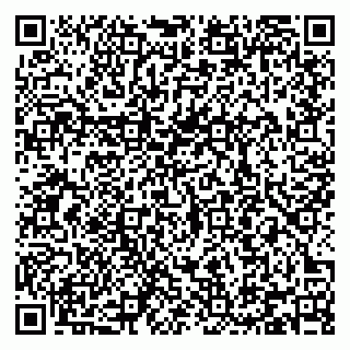 vCard 79206300205