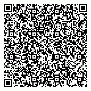 vCard 79206300229