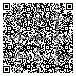 vCard 79206300370