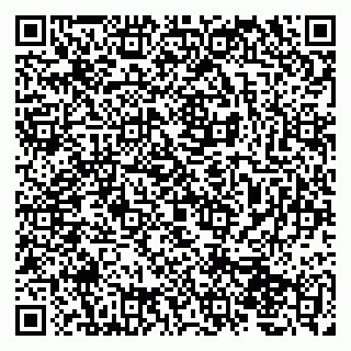 vCard 79207000211