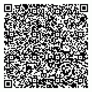 vCard 79207000299