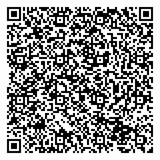 vCard 79207000341