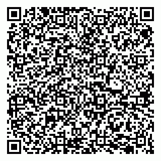 vCard 79207000407