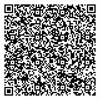 vCard 79207000409