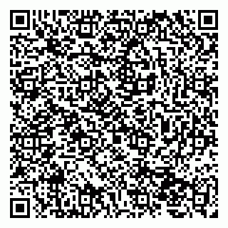 vCard 79207000410