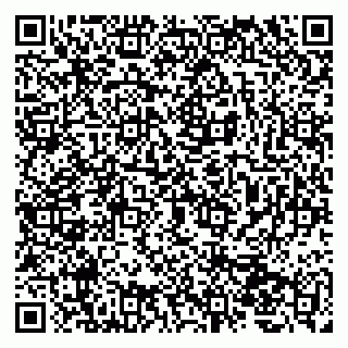 vCard 79207000411