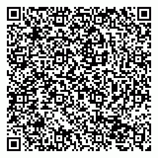 vCard 79207000413