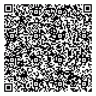 vCard 79207000417