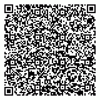 vCard 79207000478