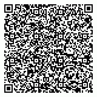 vCard 79207000501