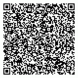 vCard 79207000503