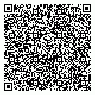 vCard 79207000505