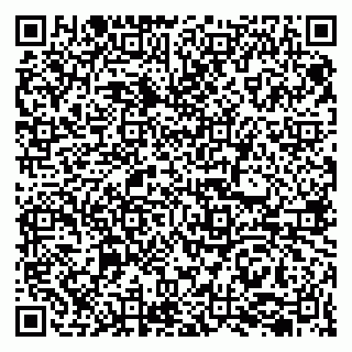 vCard 79207000507