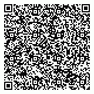 vCard 79207000510