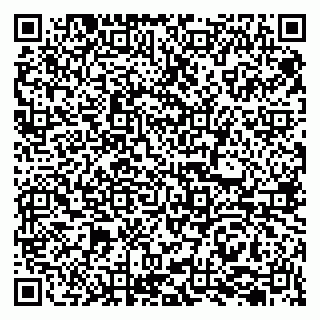 vCard 79207000511