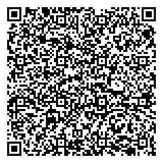 vCard 79207000527