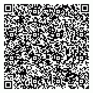vCard 79207000529