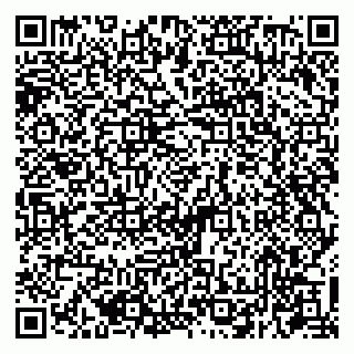 vCard 79207000533