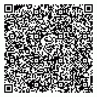 vCard 79207000537