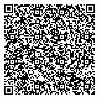 vCard 79207000539