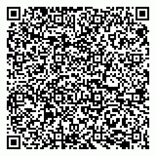 vCard 79207000540