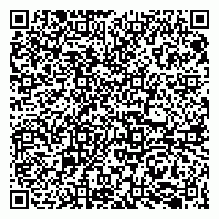 vCard 79207000543