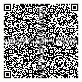 vCard 79207000631