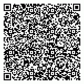 vCard 79207000651
