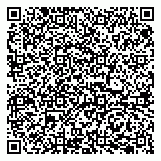 vCard 79207000687