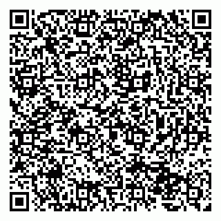 vCard 79207000703